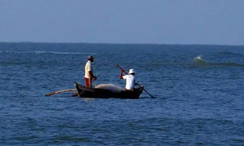 Representative Image(ANI)