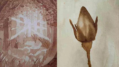 Coffee paintings by Gaayathri