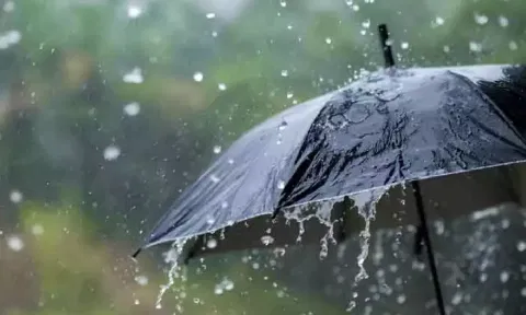 Rain