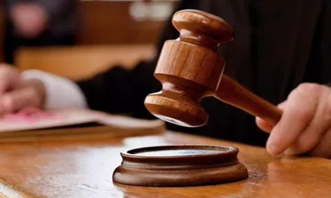 Representative Image (ANI)