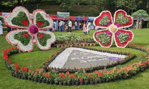 Flower Show at Bryant part 