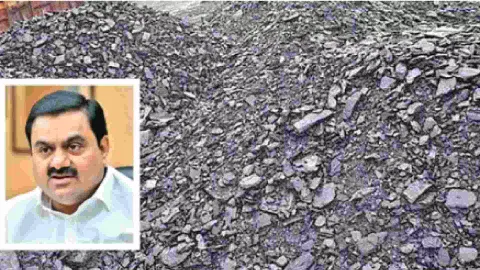 Coal; (inset) Gautam Adani