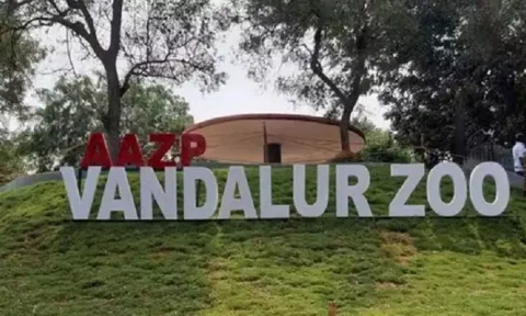 Arignar Anna Zoological Park