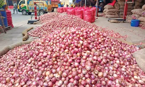 The piled up stock of onions at a market 