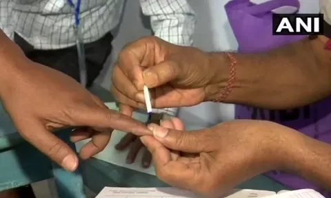 Representative Image (ANI)