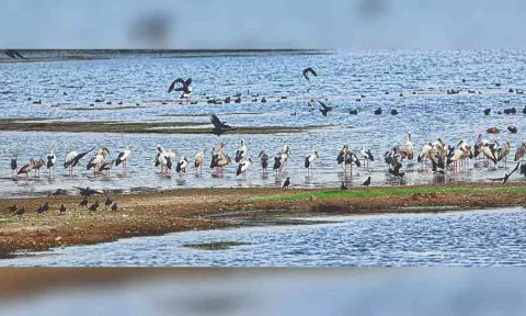Chitlapakkam Lake