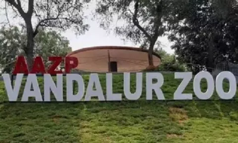 Vandalur Zoo