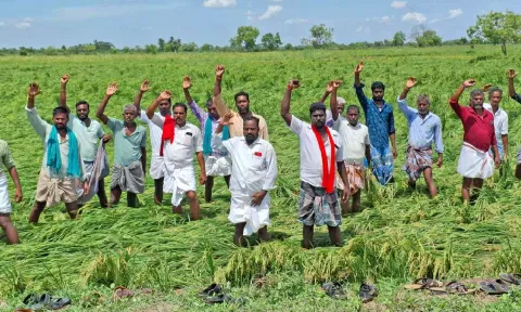  Farmers protest seeking relief for crop damage in Thanjavur on Sunday.