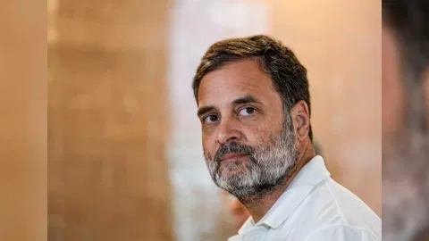  Former congress leader Rahul Gandhi (Photo/PTI)