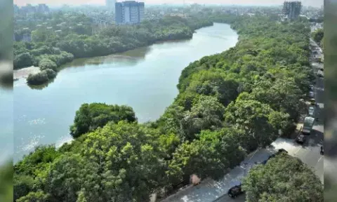 Adyar river 