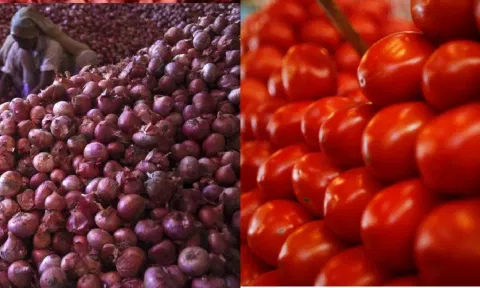 Onions, Tomato