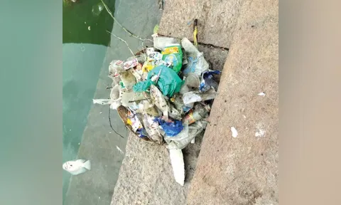 Plastic waste and dead fish found in Saravana Poigai in Tiruparankundram, Madurai