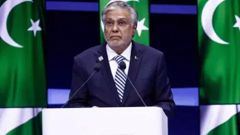 Pakistan's Deputy Prime Minister and Foreign Minister Ishaq Dar 