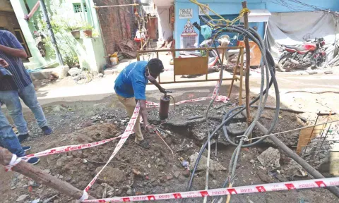 Corporation worker conduct domestic breeding checks