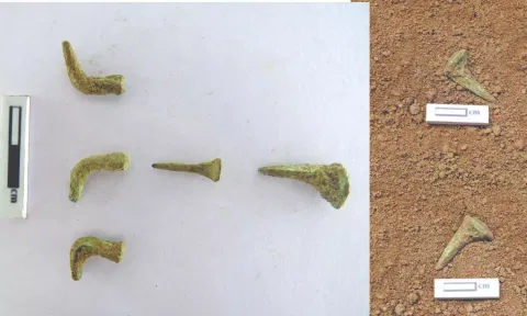 Copper nails which were found at the Porpanaikottai excavation site in Pudukkottai on Saturday