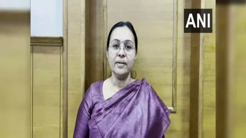 Kerala Health Minister Veena George (Photo/ANI)