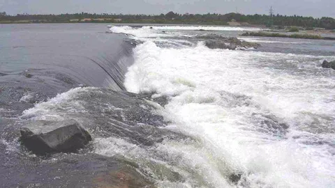 Cauvery 