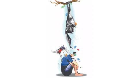 Illustration: Saai