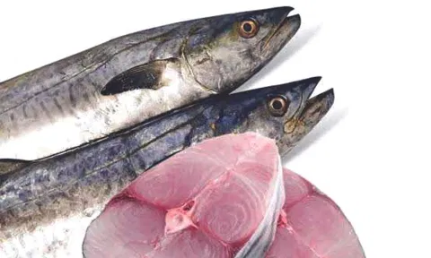 Vanjiram Fish 