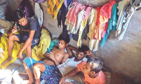 Migrant Labours
