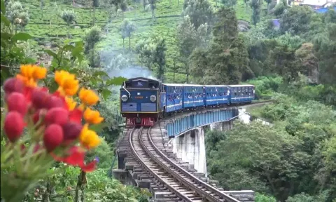 NMR Train (File)