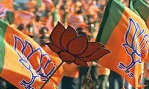 BJP Flag