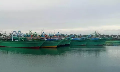 Anchored mechanised boats in Thoothukudi on Monday 