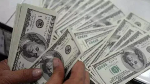 Dollars 