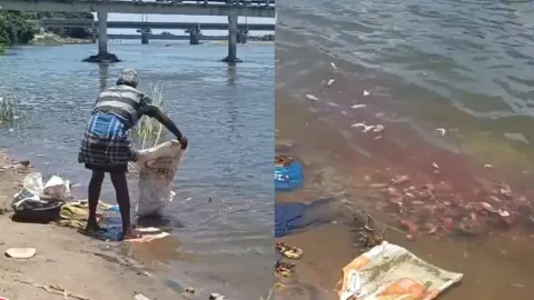 Fish waste in Cauvery (Thanthi TV)