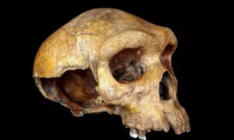 Human skull found at Chennai construction site 9 months after cave-in