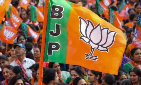 BJP Flag