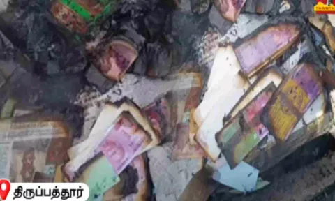 Tirupattur: Car goes up in flames, fake Rs. 2000 currency notes found