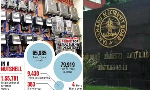 Tamil Nadu Electricity Board 