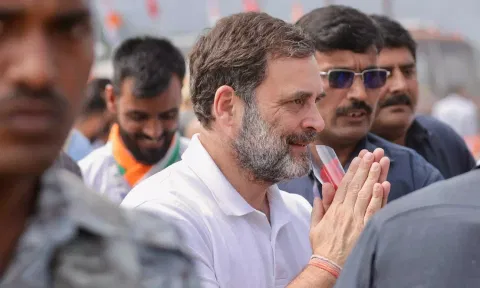  Leader of the Opposition in Lok Sabha Rahul Gandhi (PTI)