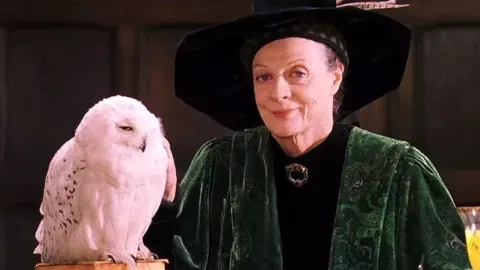 Maggie Smith (Image/X)