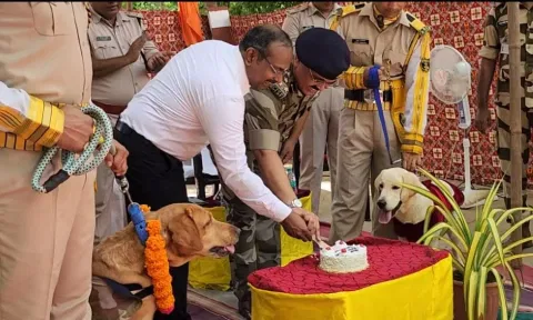 Sniffer dog Caesar's retirement ceremony