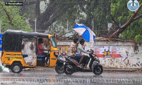 Once a well-planned township, Anna Nagar reels under floods, concretisation