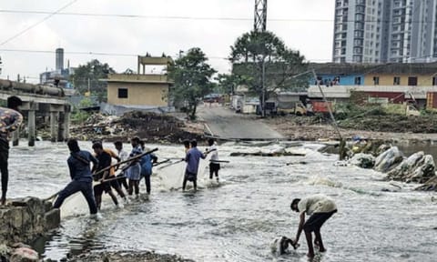 The flooded causeway across Cooum near Padi Kuppam (file)