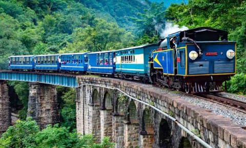 Nilgiri Mountain Railway (NMR) train 