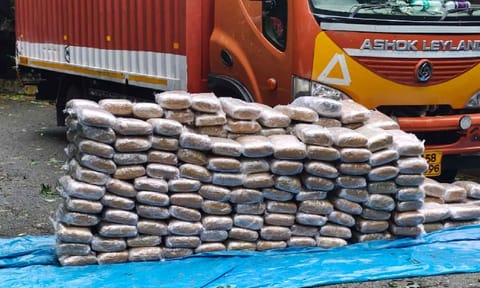The ganja bricks seized by the NCB sleuths on Tuesday 