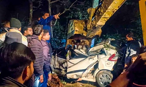  Rescue work underway after a car crashed into a tree and plunged into a ditch, in Pilibhit, Uttar Pradesh (PTI)