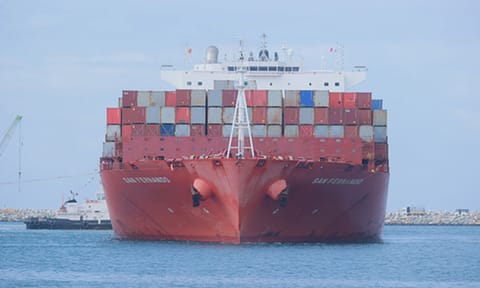 Vizhinjam Seaport (ANI)
