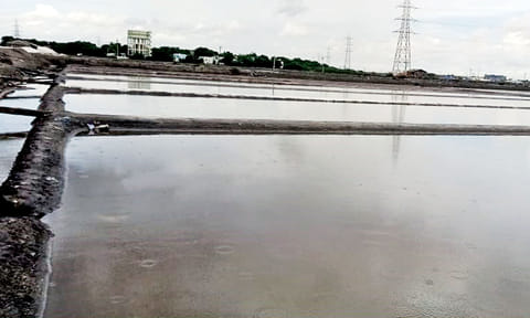 Salt pans in Thoothukudi 