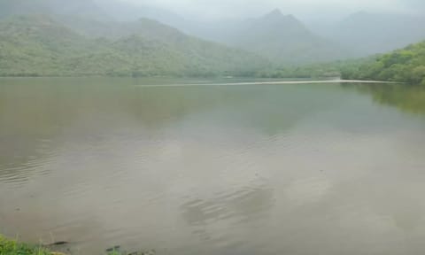  Karuppanadhi dam in Tenkasi (Maalaimalar)