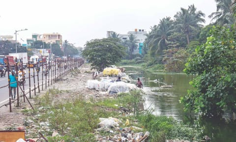 Wooden logs placed along the waterbody to prevent accidents (Photo: P Ashish)
