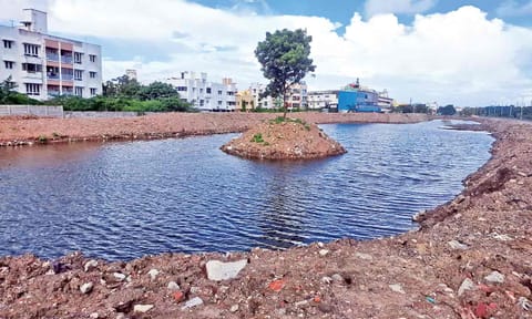 The pond created near the six vent culverts in Velachery 
