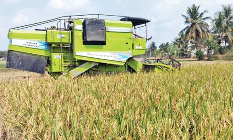 Harvester machine deployed on a field 