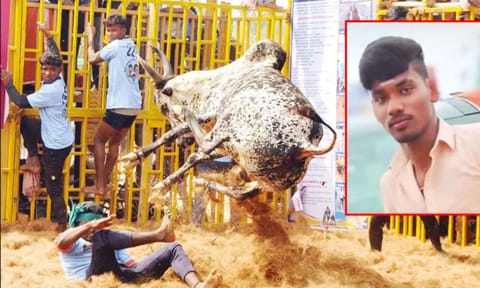 Jallikattu event, Thomas Alva Edison (Daily Thanthi)