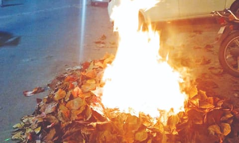 Public burning leaves near parked vehicles on Patel Road 