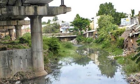 Buckingham Canal